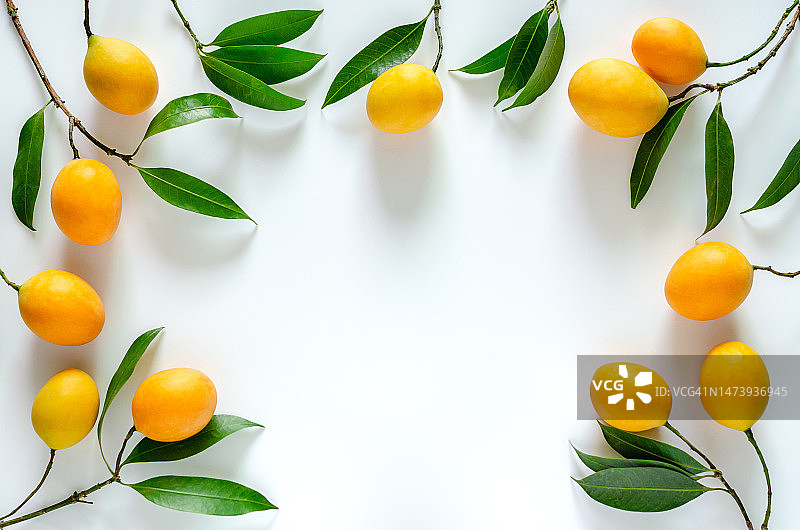 酸甜的木鳖果与叶子图片素材