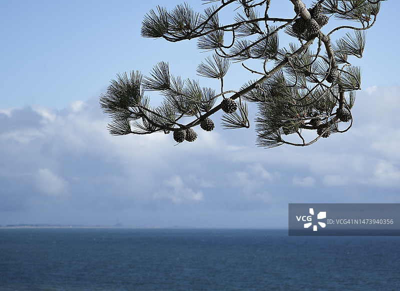 加利福尼亚州圣克鲁斯海景图片素材
