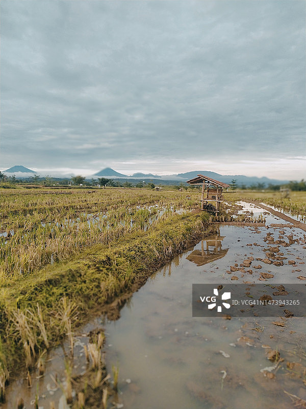印度尼西亚中爪哇省三宝垄市风光图片素材