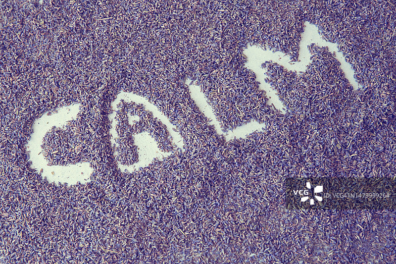 由干燥薰衣草花拼写的CALM图片素材