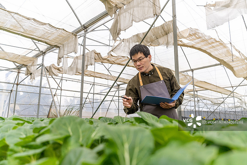 农民在农业温室的文件夹中登记数据图片素材