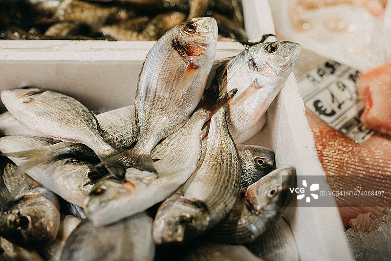 鱼市场上的金头鲷图片素材