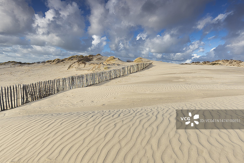 海牙市韦斯特敦公园沙丘的优美沙纹，靠近基克杜因海滩度假胜地图片素材
