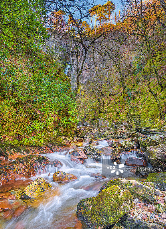 灰色马尾图片素材