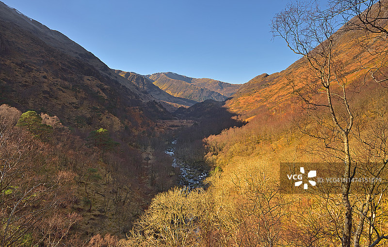 格伦尼维斯图片素材