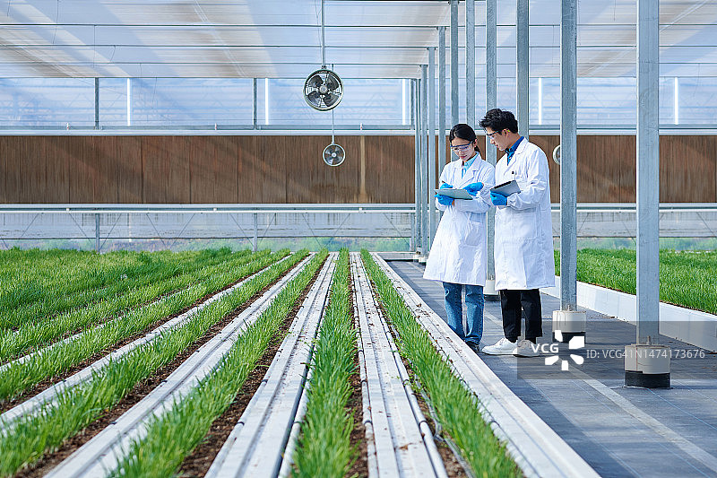 两名亚洲研究员在温室站立讨论图片素材