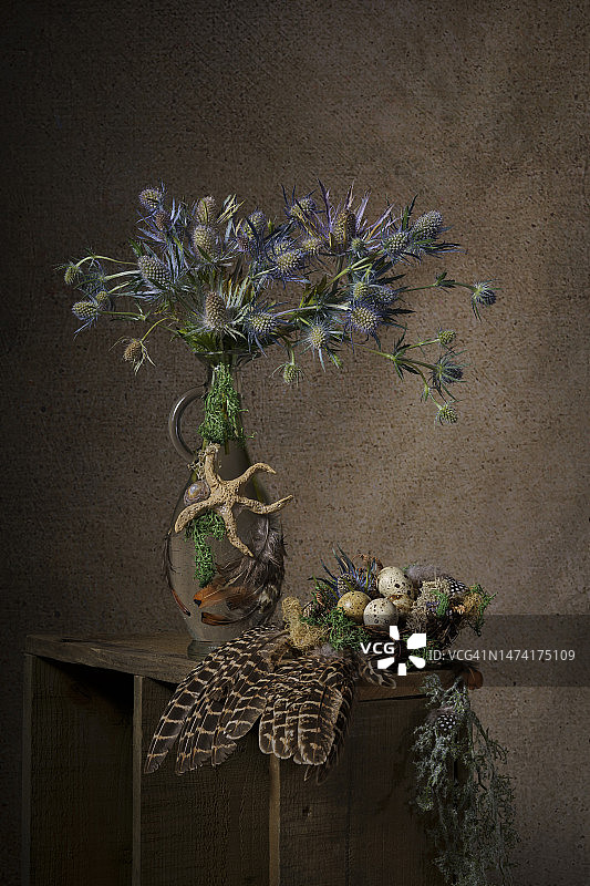 海冬青和静物，英国纽卡斯尔图片素材