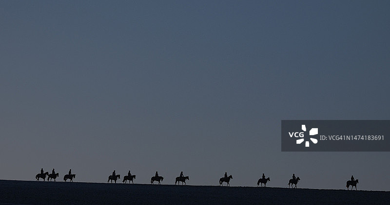 训练归来的赛马图片素材