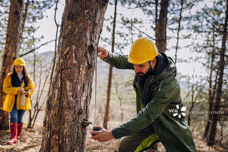 森林管理员协同工作图片素材