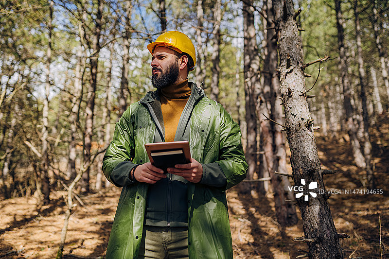 我正在制定拯救这片森林的计划图片素材