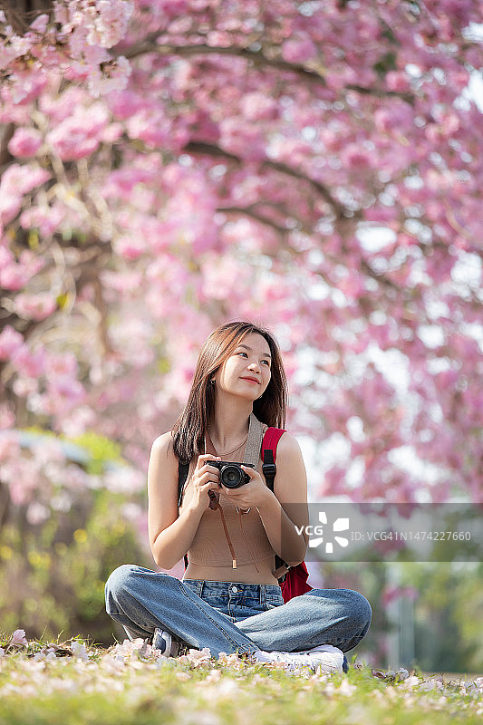 捕捉春天的气息图片素材