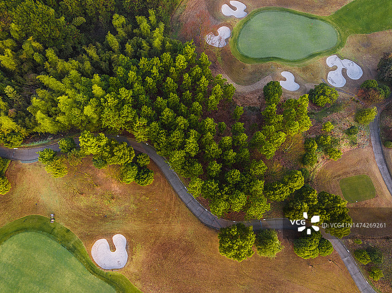 高尔夫球场航拍：绿色草地和树木图片素材