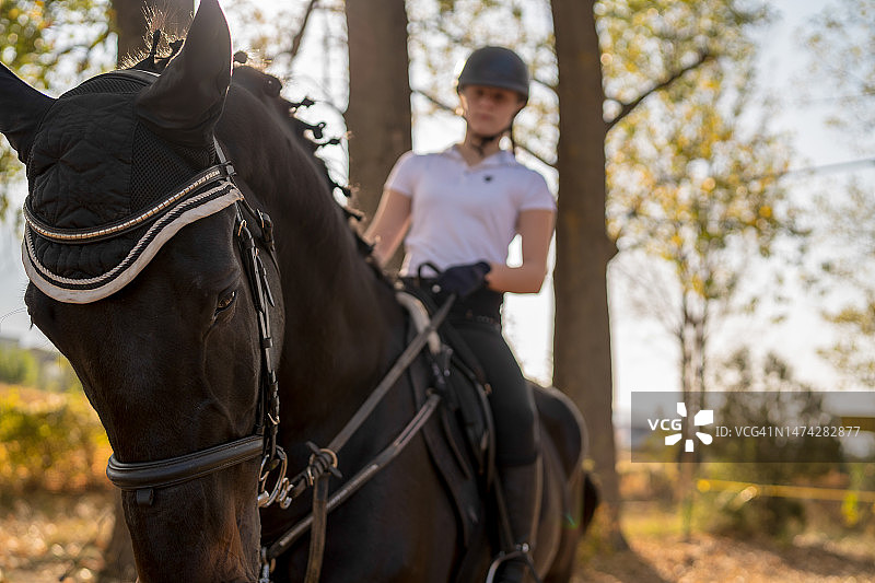 棕色马与少女骑手奔跑特写图片素材
