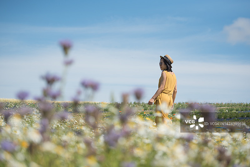 身穿黄色连体裤裙和草帽的年轻亚洲女性走过苏格兰金罗斯的野花草地图片素材