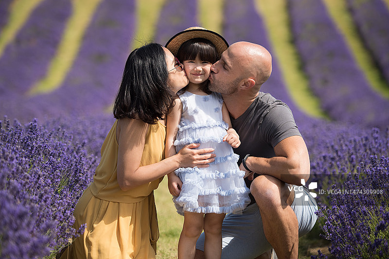 在英国苏格兰金罗斯，阳光明媚的夏日，年轻的亚洲女子身穿黄色连体裤裙，与丈夫在薰衣草田中亲吻女儿图片素材