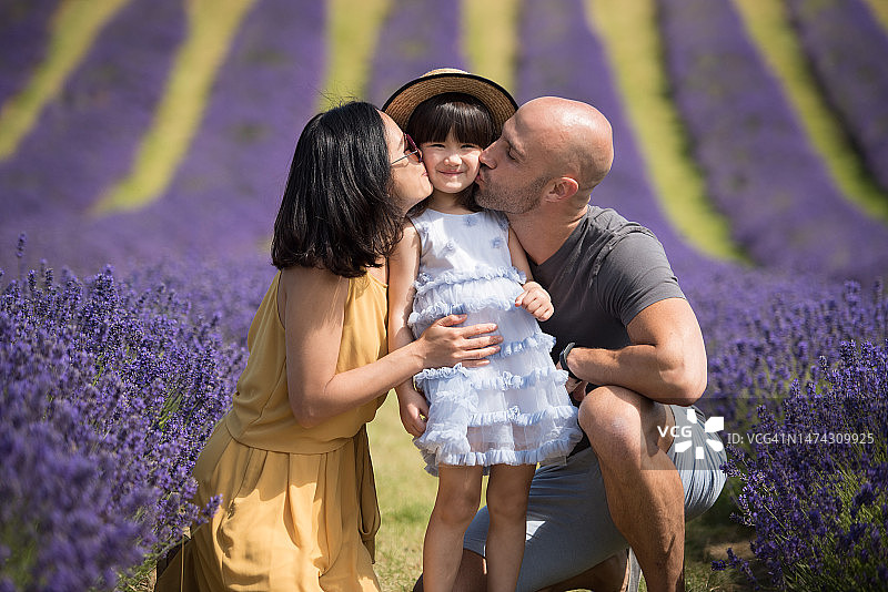 在英国苏格兰金罗斯薰衣草田中，身穿黄色连体裤裙的年轻亚洲女性和穿着T恤和短裤的丈夫亲吻女儿图片素材