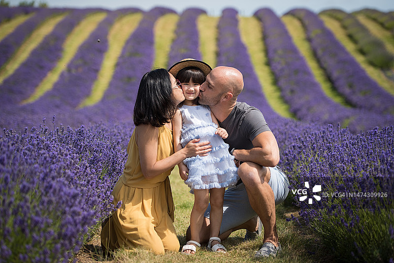 穿着黄色连体裤裙的年轻亚洲女性和她的丈夫在阳光明媚的夏日，在英国苏格兰金罗斯的薰衣草田中亲吻他们的女儿图片素材