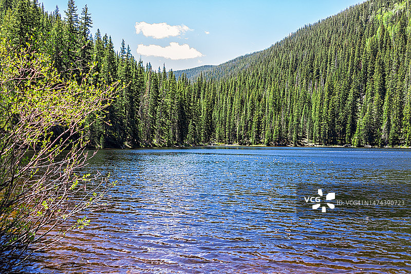 从科罗拉多州雅芳附近的海狸溪滑雪胜地的徒步小径看到的比弗湖景观，夏季圣十字荒原和云杉树林中的水面图片素材