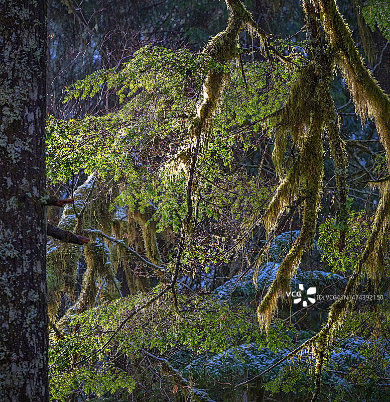 光与影图片素材