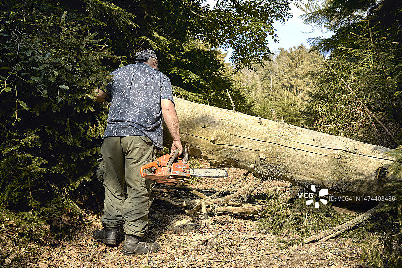 男人用油锯锯木头图片素材