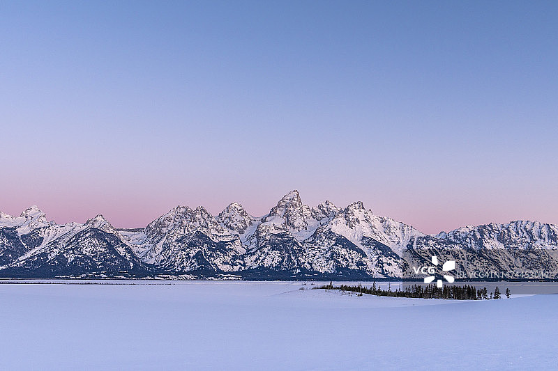 黎明时分白雪皑皑的提顿山脉和成排的树木图片素材