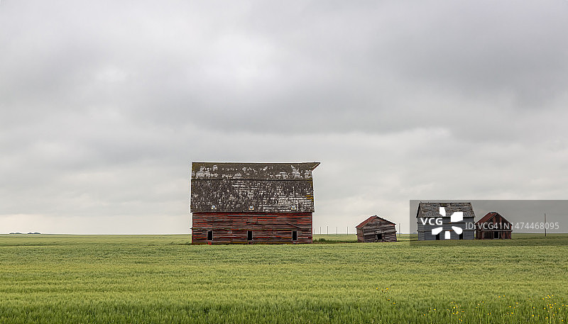 加拿大草原上的谷仓和棚屋图片素材