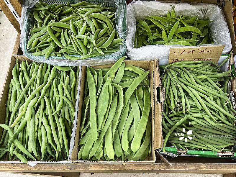 四季豆和青豆图片素材