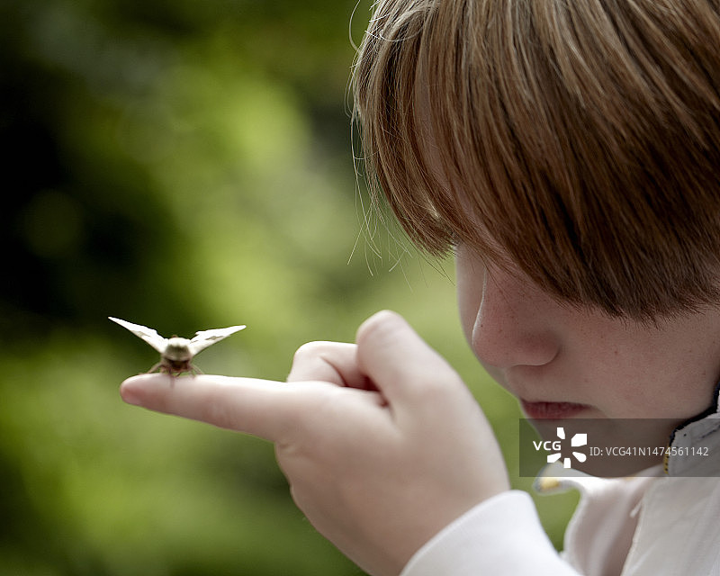 夏季细节2图片素材