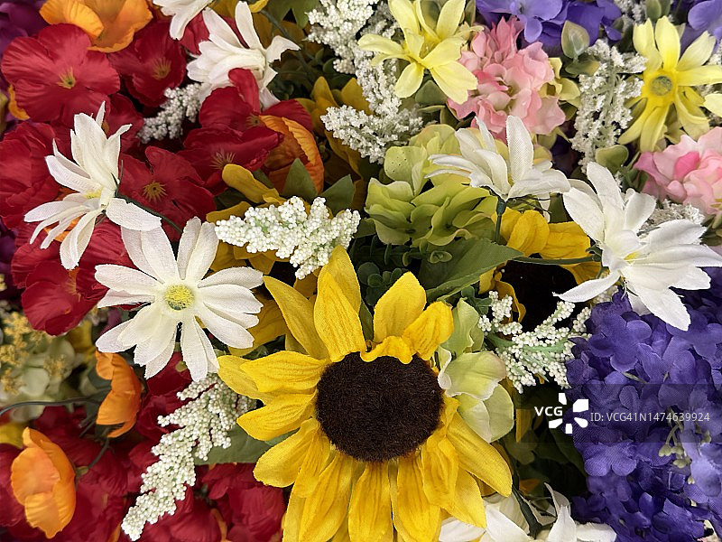 鲜花盛开 - 完整画面图片素材