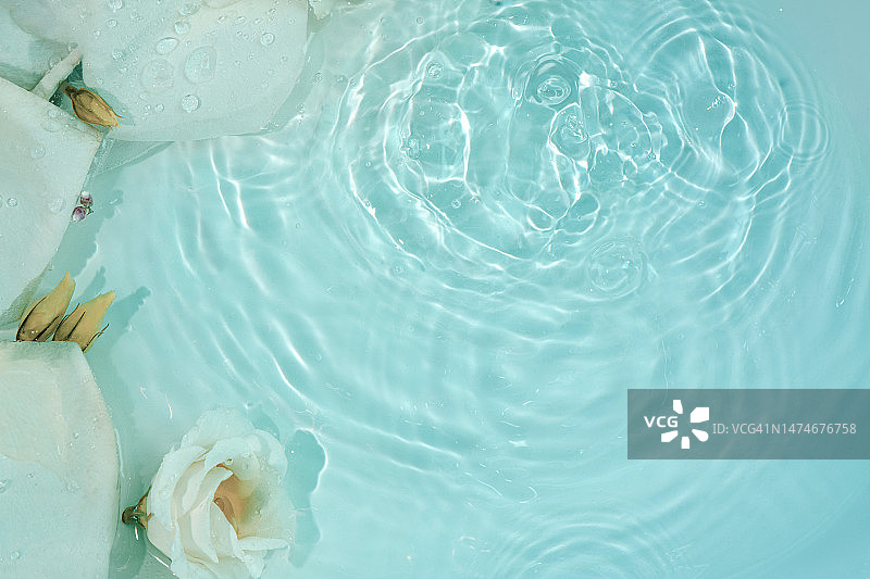 蓝色波纹水面上的鲜花与文案空间，象征纯洁、清新、放松和水疗的抽象花卉背景图片素材