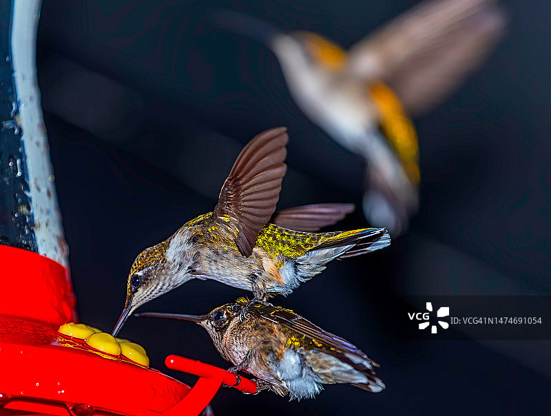 企业行为图片素材