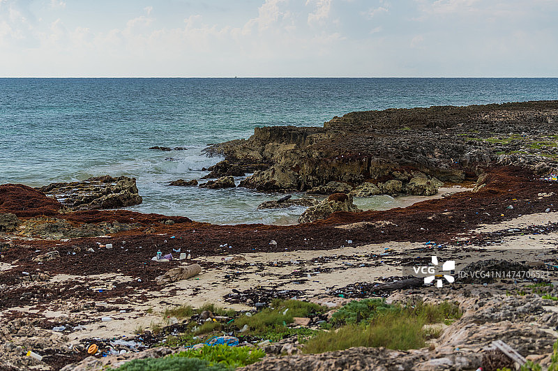 墨西哥科苏梅尔岛热带海岸线上的塑料瓶、垃圾和腐烂的马尾藻海藻图片素材