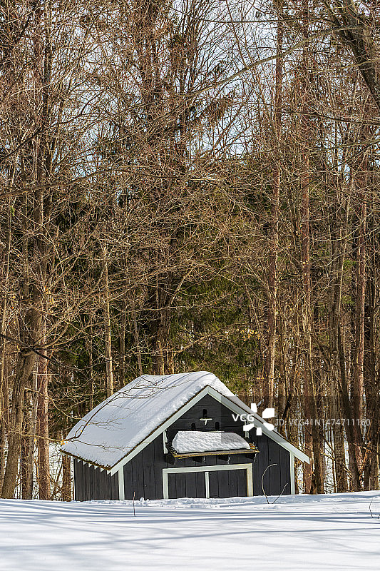加拿大魁北克省加蒂诺的麦肯齐·金庄园图片素材