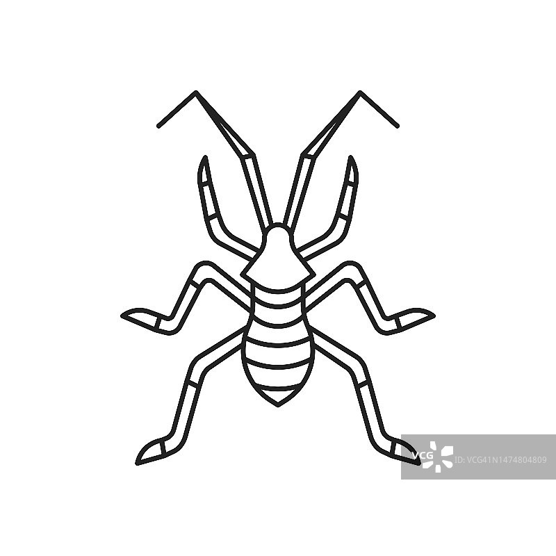 缘椿象昆虫图标：高质量黑色矢量插图图片素材