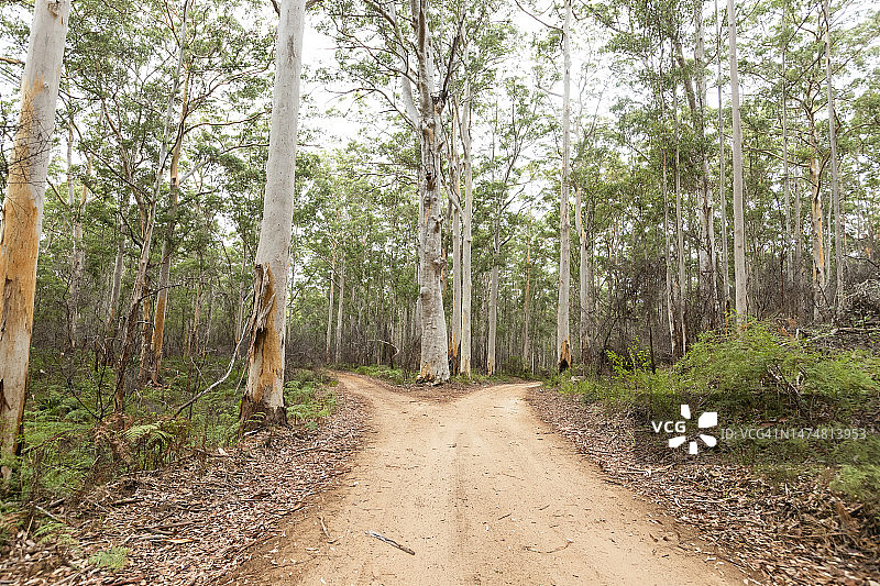 岔路口图片素材