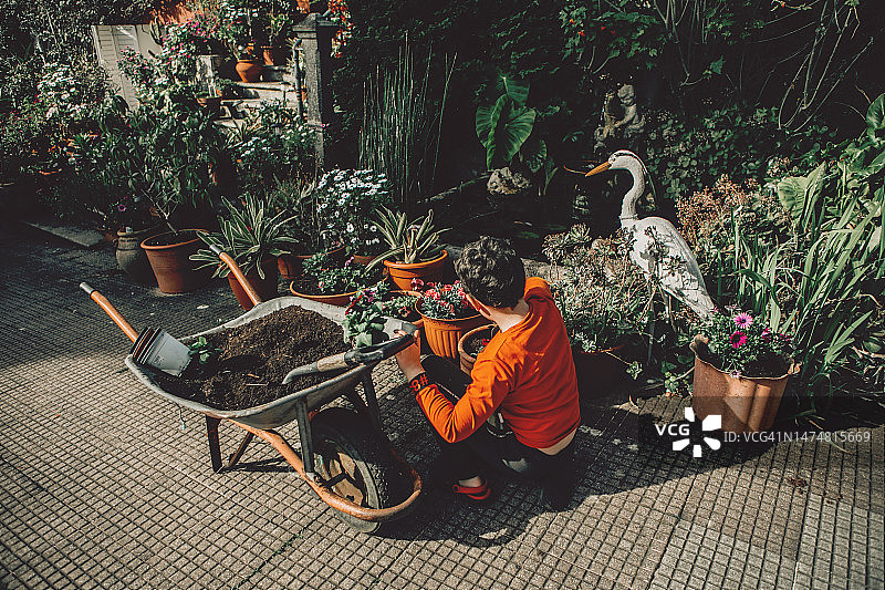 男孩种花和播种图片素材