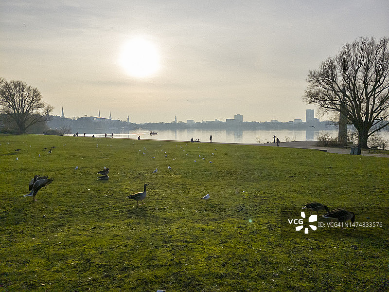汉堡天际线背景下的阿尔斯特草地图片素材