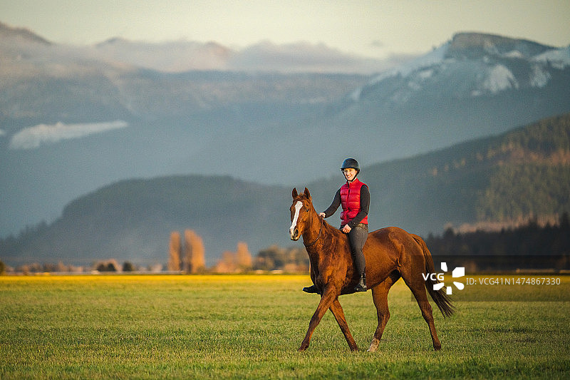 女骑师在田野骑马图片素材