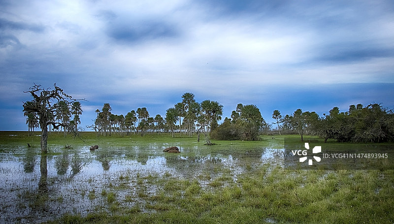 伊贝拉湿地图片素材