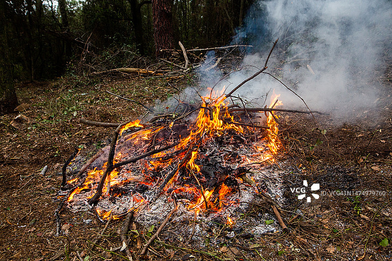 植被清理与焚烧图片素材
