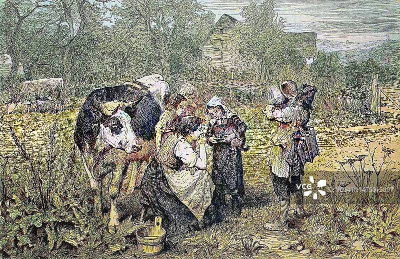 萨瓦省与牛的儿童（法国19世纪彩色历史木刻复制品）图片素材
