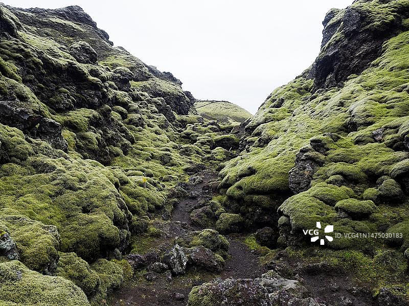 苔藓覆盖的火山景观，拉基火山口或拉卡吉加，南部高地，冰岛南部地区图片素材