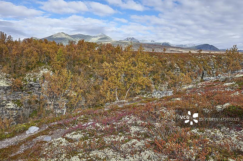 朗达讷国家公园的秋季景观，背景是挪威奥普兰的苔原和雪峰图片素材