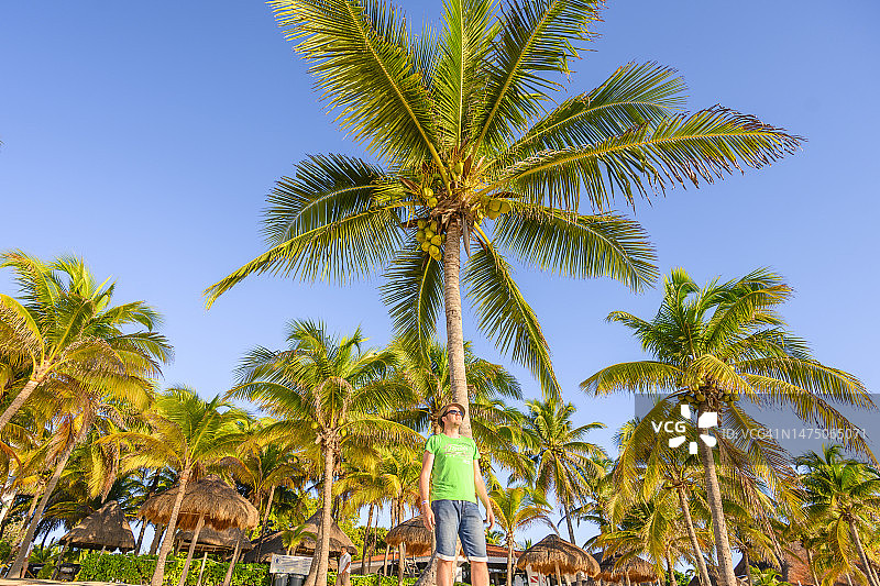 男人站在热带海滩的棕榈树中图片素材