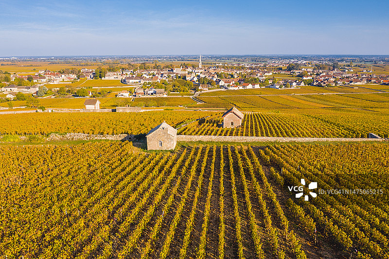 法国勃艮第博讷丘葡萄园秋景图片素材