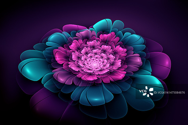 黑色背景上的抽象放射状漩涡花紫色蓝色分形数字插图艺术图片素材