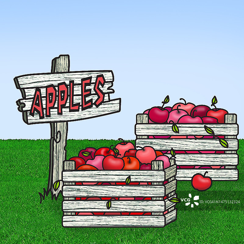 苹果箱子插画图片素材
