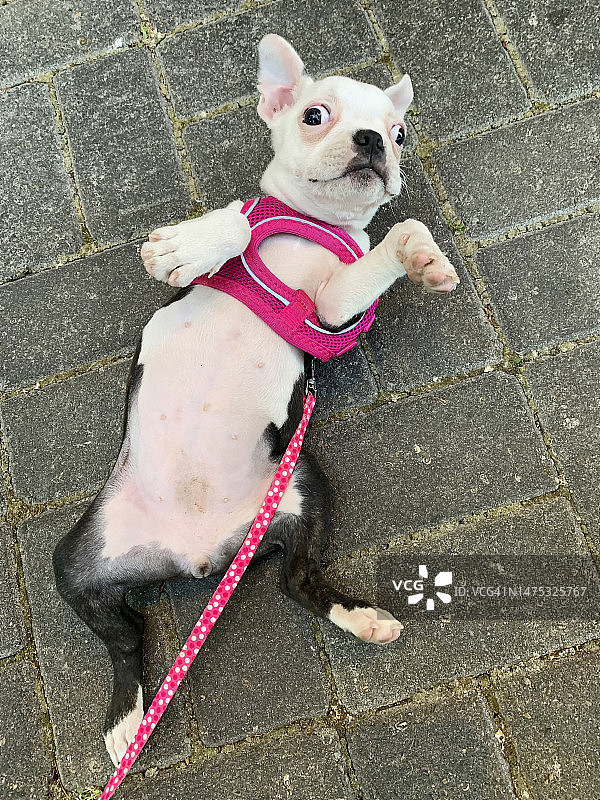 仰望人行道图片素材