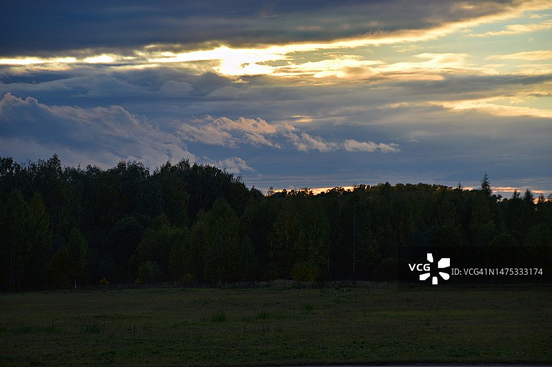 俄罗斯日落时分田野上的树木与天空美景图片素材