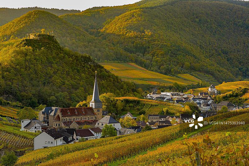 德国莱茵兰-普法尔茨阿尔塔尔地区的葡萄园秋景图片素材